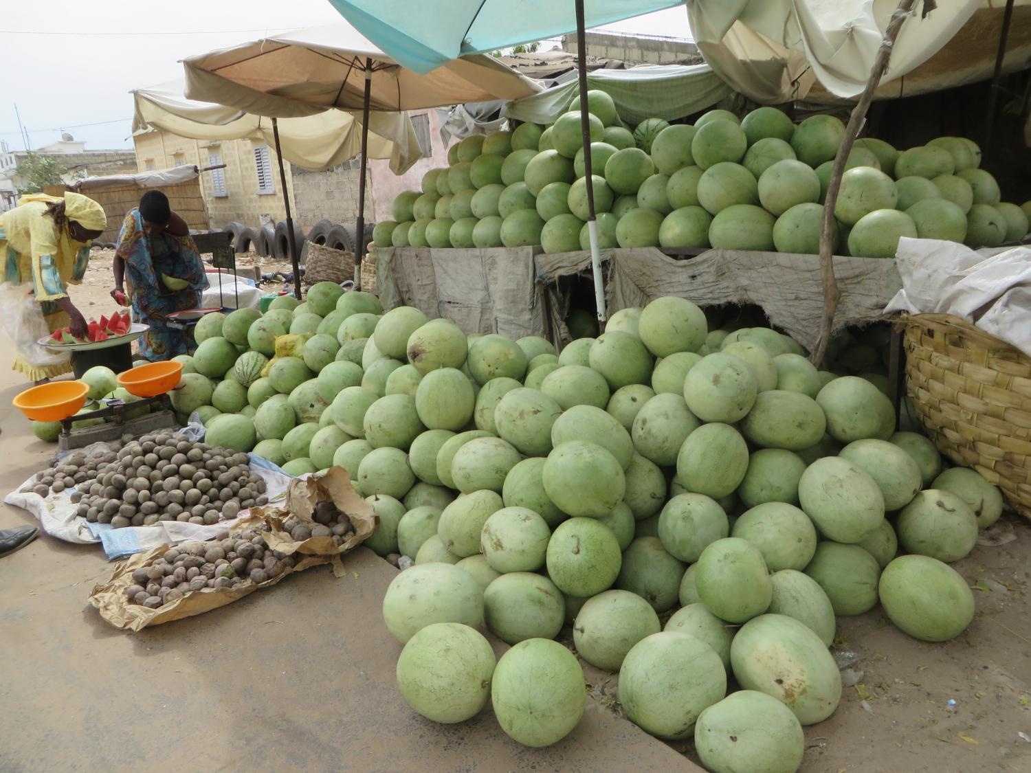 Ditakh and watermelons... Loving the tropical fruits!
