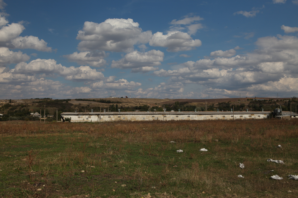 Former Collective Farm near Sifmeropol