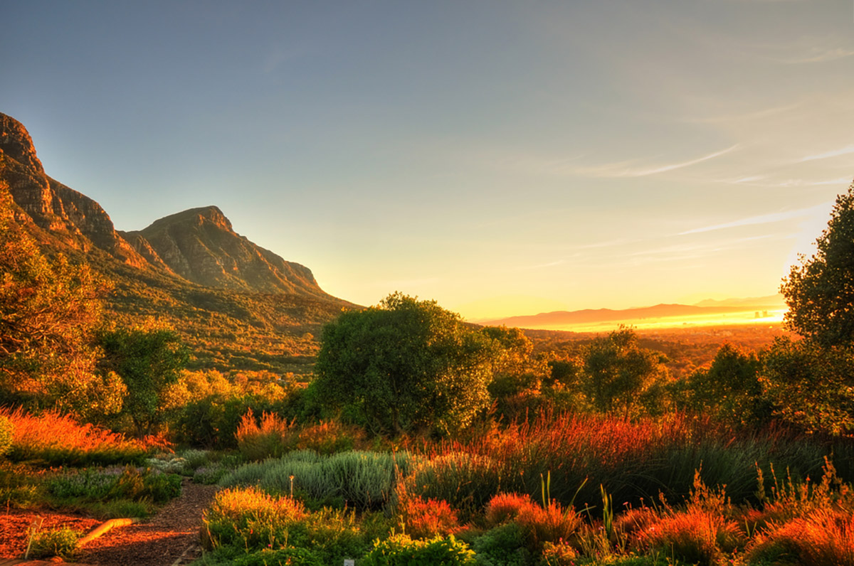 Kirstenbosch Gardens (Photo by Flickr user Mike Cilliers)