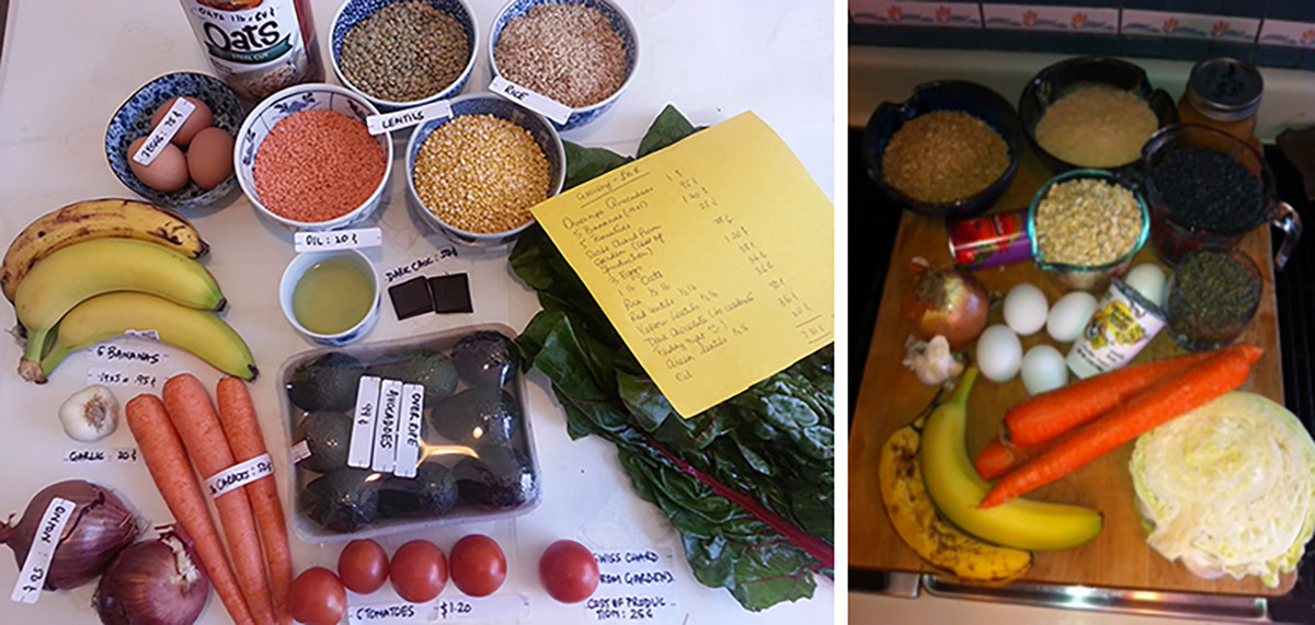 Radhika and Claire show off what one week of food for $7.50 looks like to them.