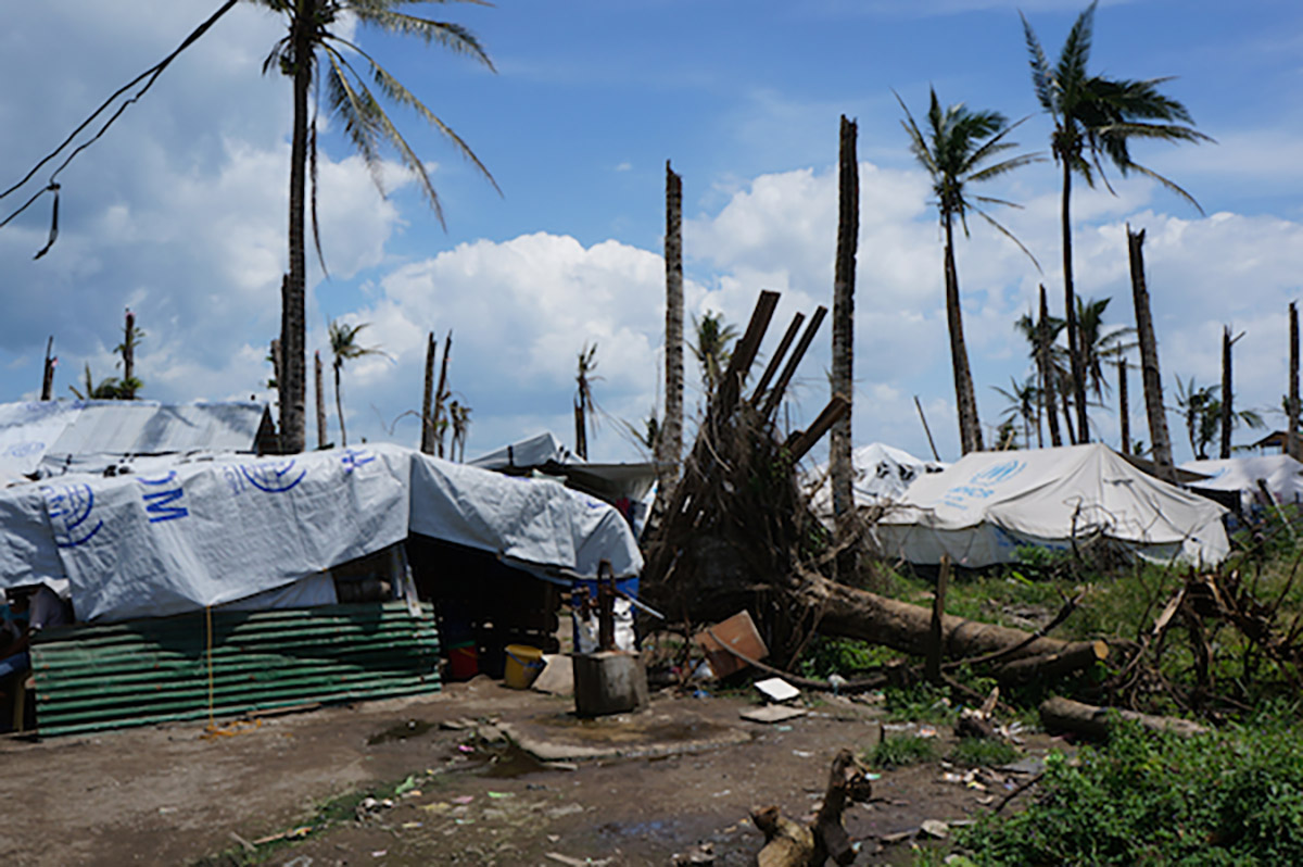 Myrna's neighborhood after the typhoon