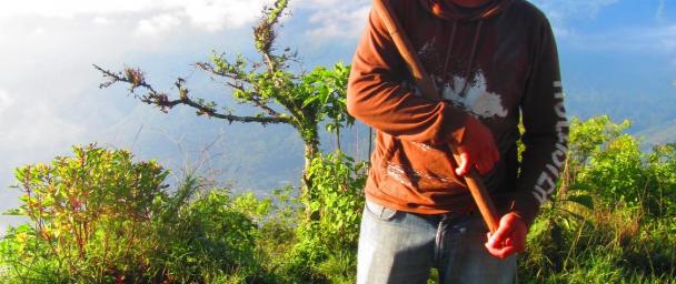 "To the western eye, this oversized hybrid shovel/axe may seem peculiar, but in the context of subsistence agriculture in the Highlands of Guatemala, the “azadon” or farming hoe is exactly the proper tool. Is micro-finance the proper tool to cultivate social and financial capital a post-conflict context?"